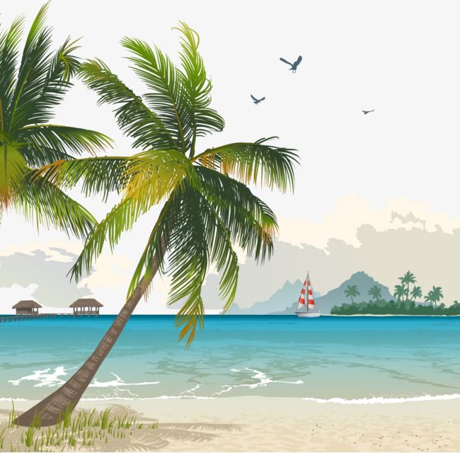 650x640 Millions Of Png Images, Backgrounds And Vectors For Free Download