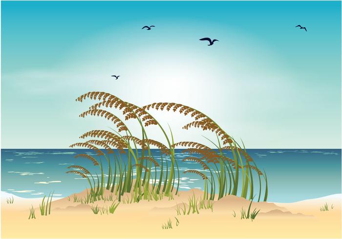 700x490 Sea Oats Beach Vector Illustration