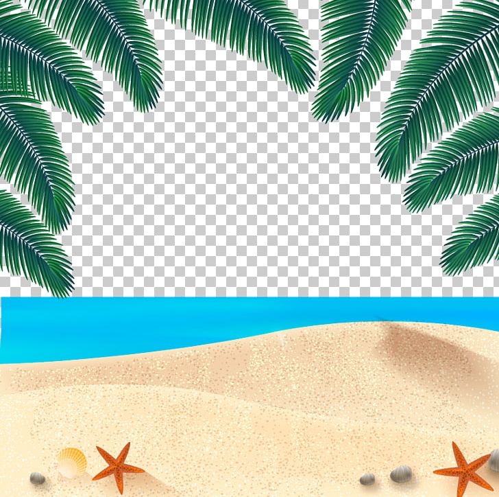 Euclidean Beach Png, Clipart, Beaches, Beach Party, Beach Sand 728x724 Euclidean Beach Png, Clipart, Beaches, Beach Party, Beach Sand