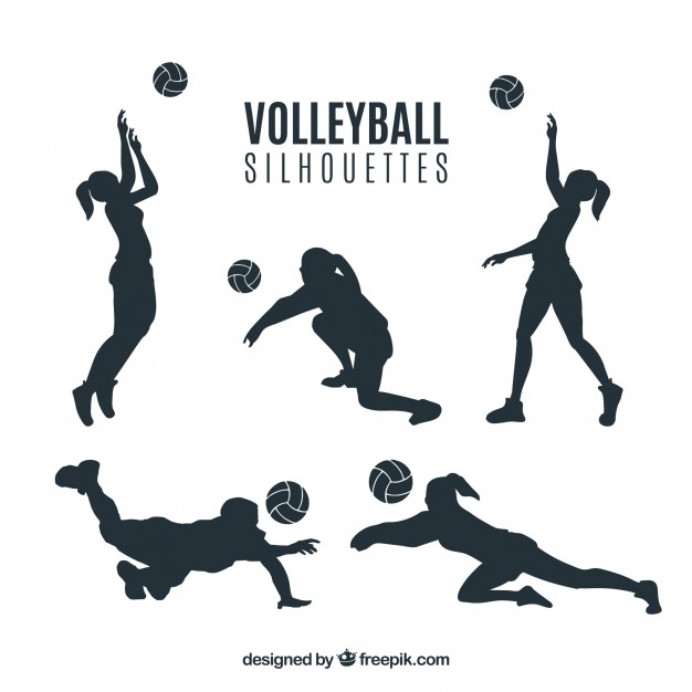 626x626 Volley Vectors, Photos And Free Download