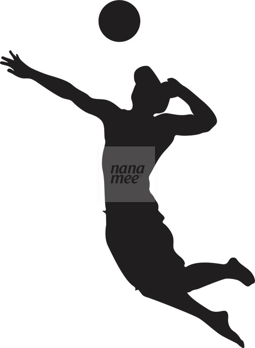 500x682 Beach Volleyball Player Silhouette