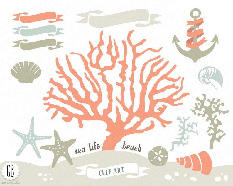 Coral Beach Sea Life Vector Clip Art Corals Starfish Sand Etsy 794x635 Coral Beach Sea Life Vector Clip Art Corals Starfish Sand Etsy