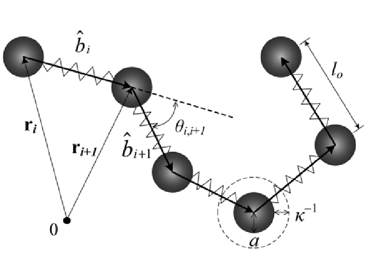 723x506 Schematic Of The Bond Vector And Angle Between Beads Download