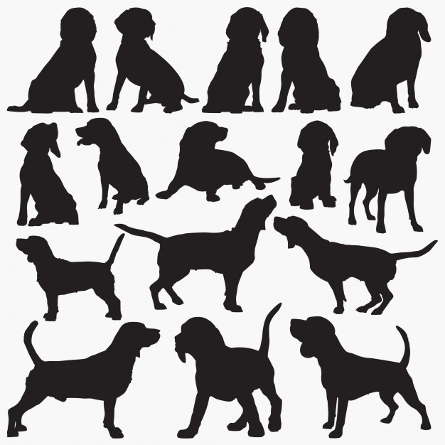 Beagle Dog Silhouettes Vector Premium Download 626x626 Beagle Dog Silhouettes Vector Premium Download
