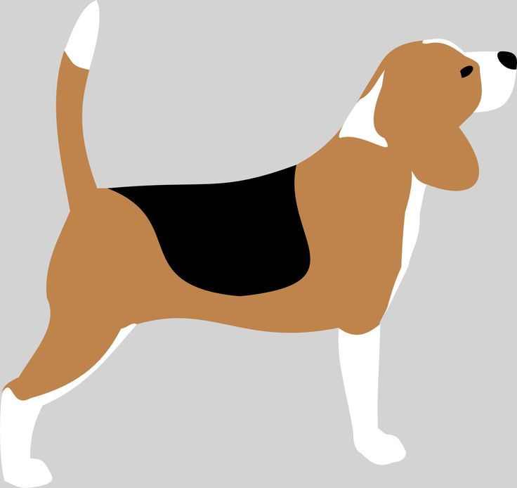 Beagle Silhouette Vector Drawing Dogart Drawings, Beagle 736x694 Beagle Silhouette Vector Drawing Dogart Drawings, Beagle