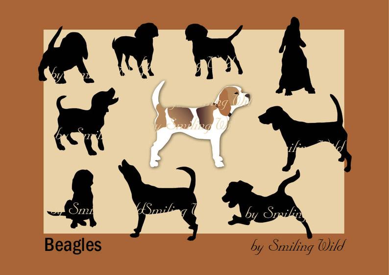 Beagle Dog Breed Silhouette Clipart Vector Graphic Etsy 794x561 Beagle Dog Breed Silhouette Clipart Vector Graphic Etsy