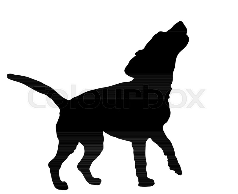 Black Silhouette Of Barking Beagle Dog Stock Vector Colourbox 800x654 Black Silhouette Of Barking Beagle Dog Stock Vector Colourbox