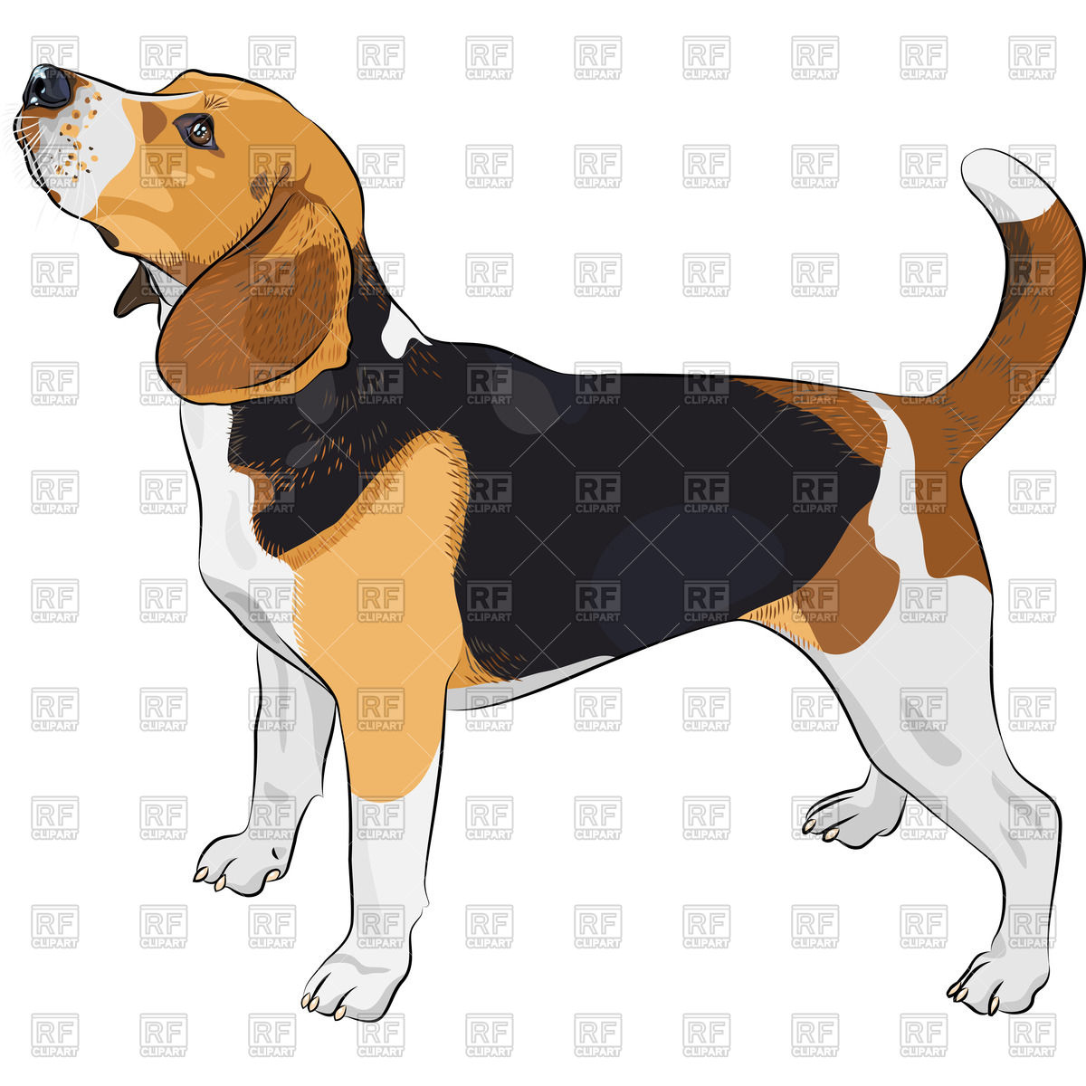 Sketch Of Dog In Show Stacking 1200x1200 Sketch Of Dog In Show Stacking