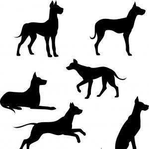 Beagle Dog Silhouette Spot On Body Soidergi 300x300 Beagle Dog Silhouette Spot On Body Soidergi