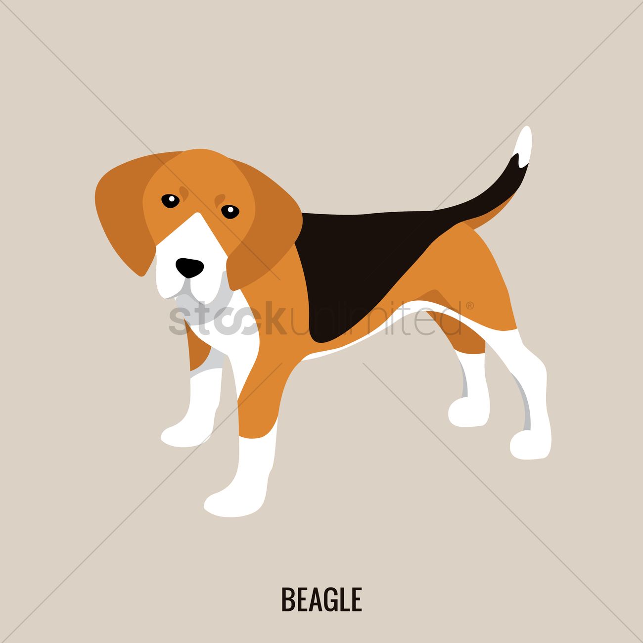 1300x1300 Beagle Vector Image