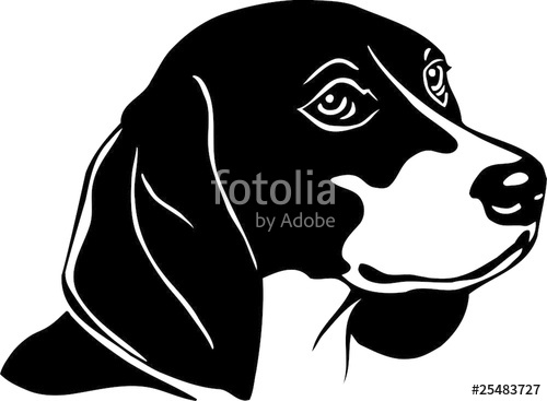500x367 Beagle Vinyl Ready Vector Illustration Stock Image And Royalty