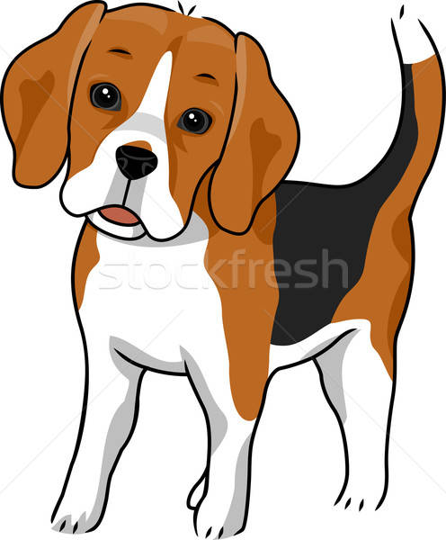 496x600 Beagle Vector Illustration Lenm