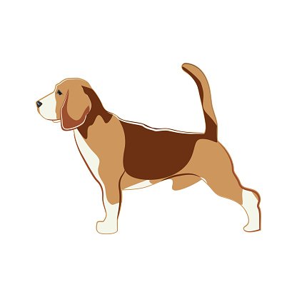 416x416 Beagle, Vector Illustration Premium Clipart