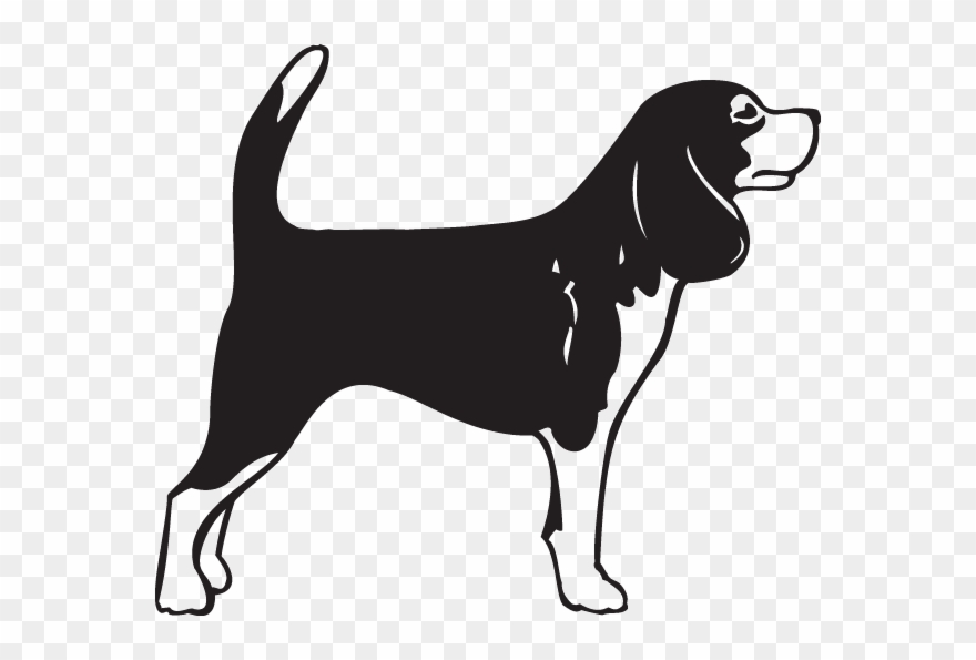 880x595 Transparent Beagle Clipart Playful Puppy
