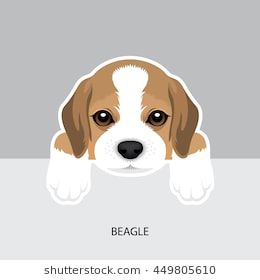 260x280 Vector Illustration Portrait Of Beagle Puppy Dog Isolated