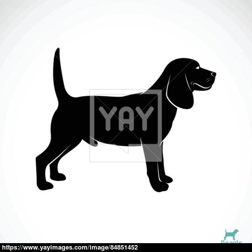 512x512 Vector Image Of An Dog Beagle Vector