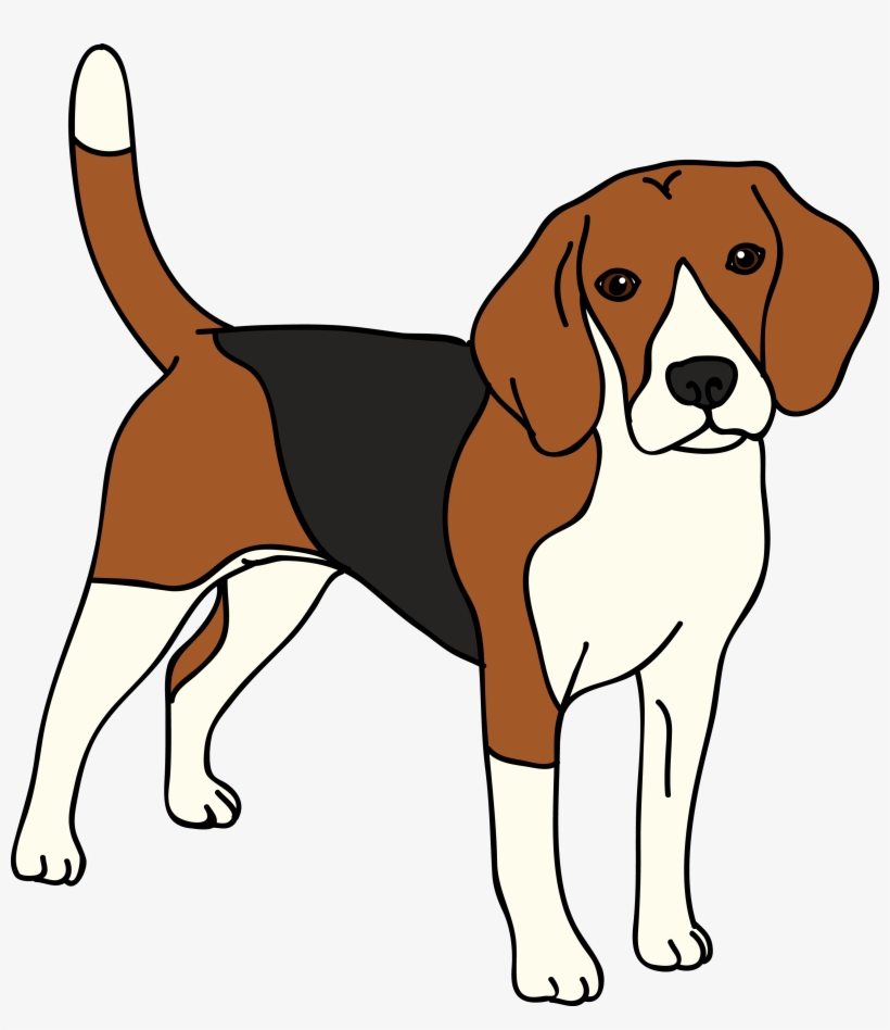 820x948 Beagle Vector Dog