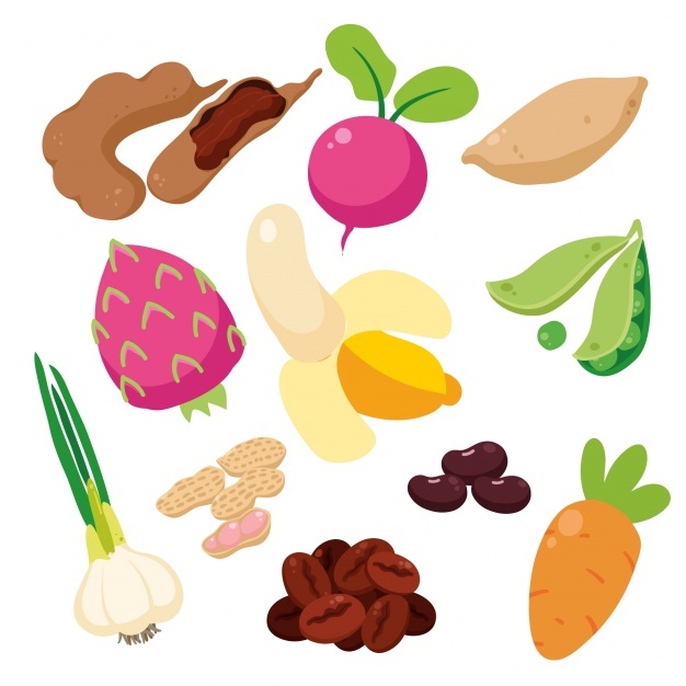 626x626 Bean Vectors, Photos And Free Download