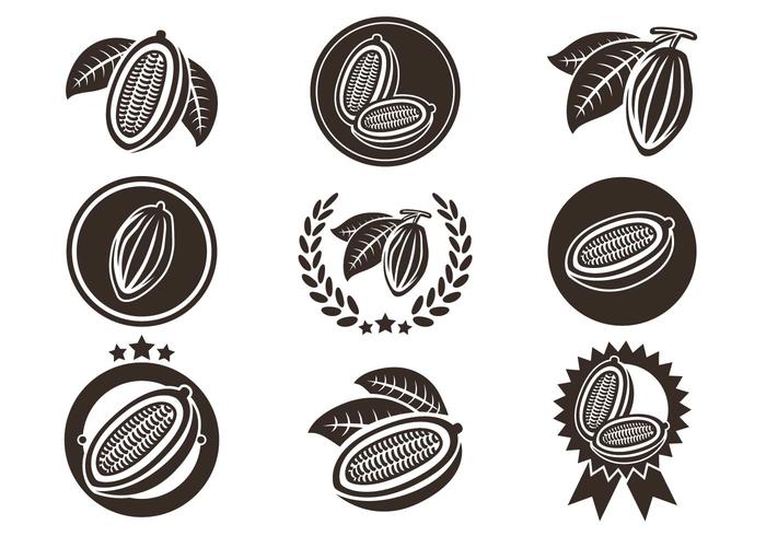 700x490 Cocoa Bean Vector