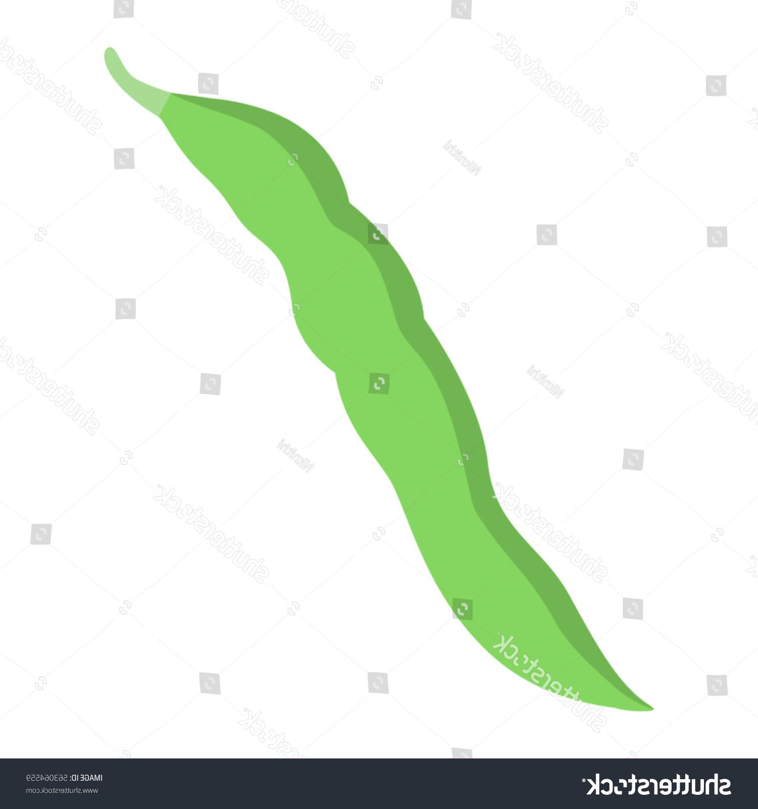 1500x1600 Top Vector Green Bean Vector Photos Free Vector Art, Images