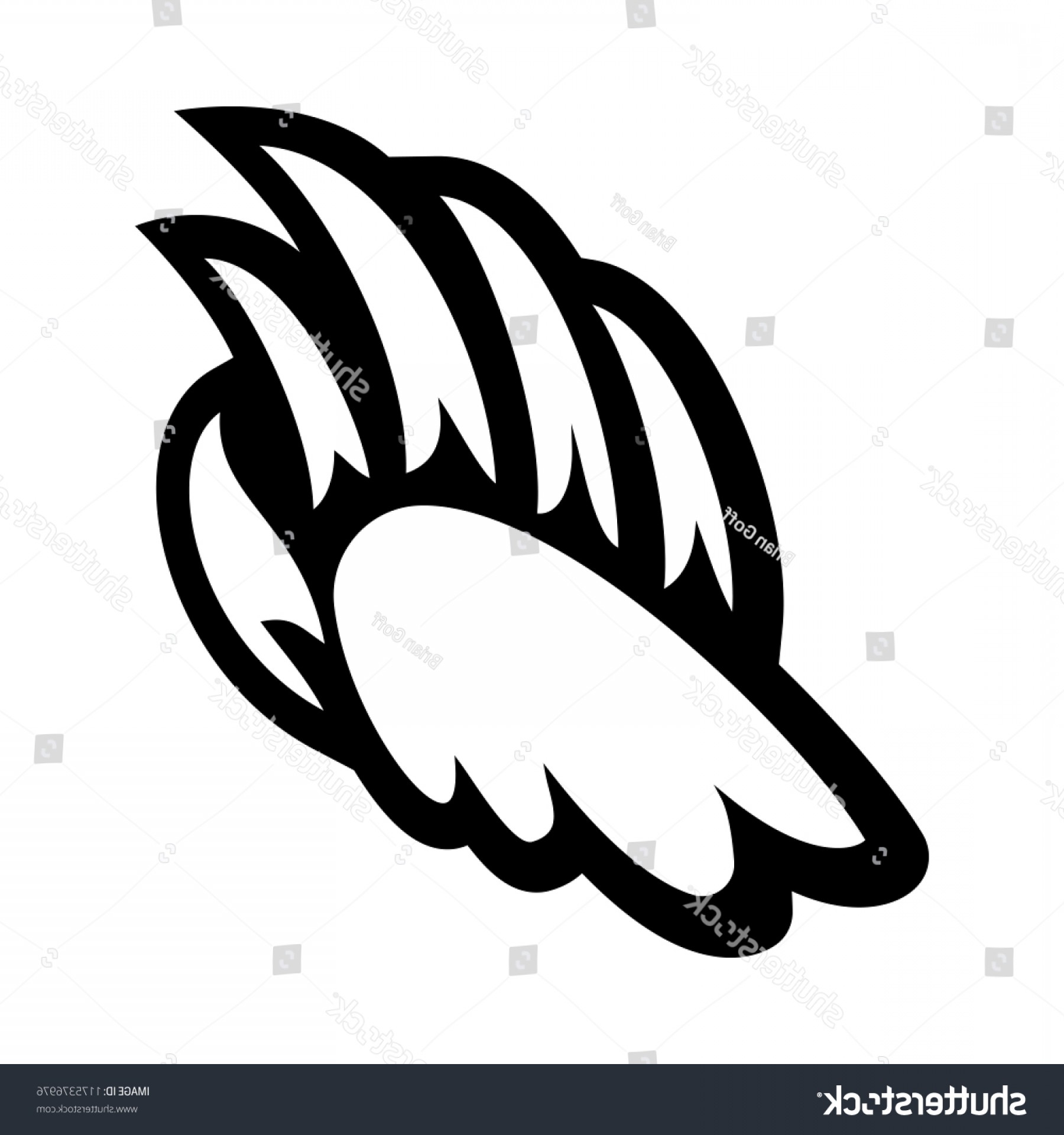 Bear Claw Vector Catchsplace 1800x1920 Bear Claw Vector Catchsplace