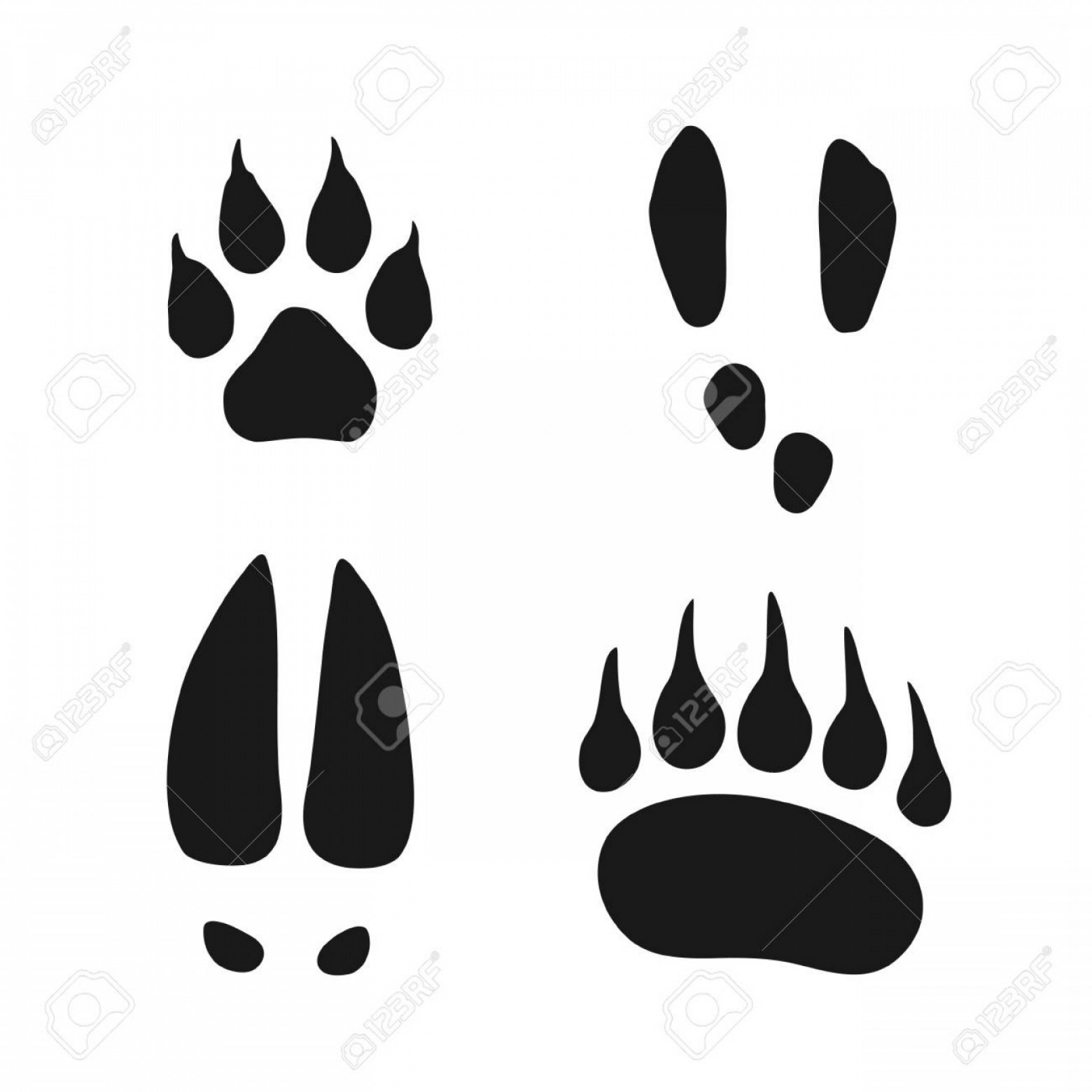 Bear Claw Vector at Vectorified.com | Collection of Bear Claw Vector ...