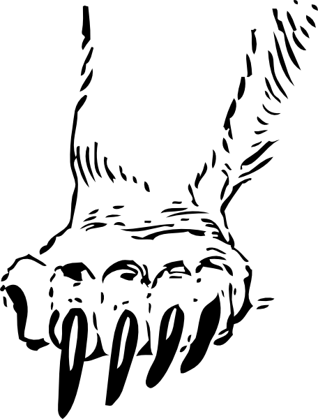 Grizzly Bear Paw Clip Art 456x600 Grizzly Bear Paw Clip Art