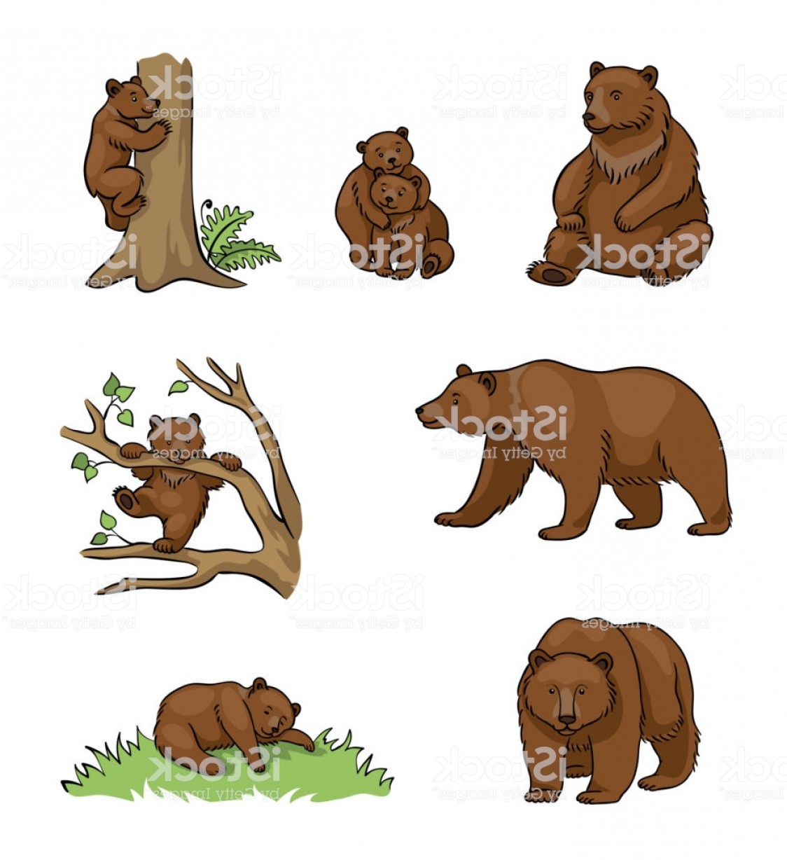 Bear Cub Vector at Vectorified.com | Collection of Bear Cub Vector free ...