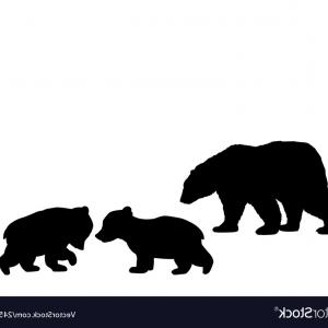 Little Brown Bear Cub Gm Hoodamathrun 300x300 Little Brown Bear Cub Gm Hoodamathrun