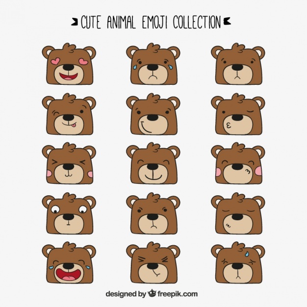 Bear Face Vectors, Photos And Free Download 626x626 Bear Face Vectors, Photos And Free Download