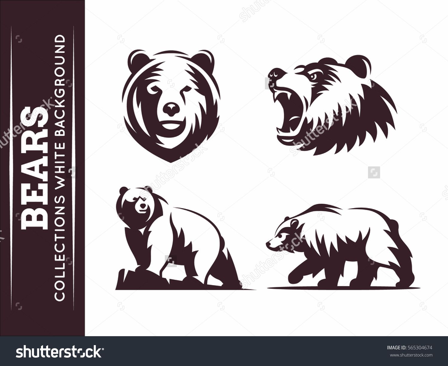 Bears Collections 1500x1227 Bears Collections