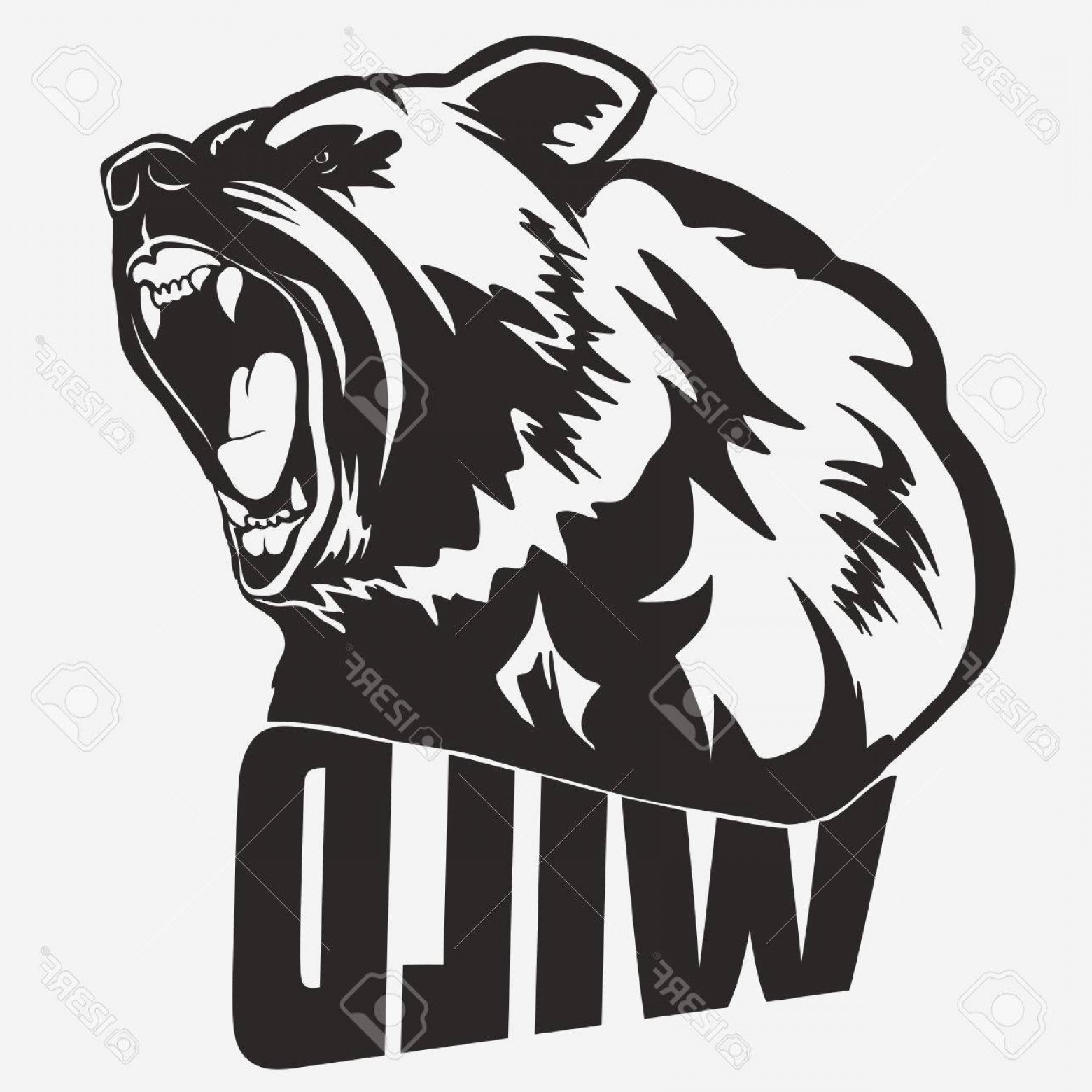 Photostock Vector Bear Head Cartoon Vector Soidergi 1560x1560 Photostock Vector Bear Head Cartoon Vector Soidergi