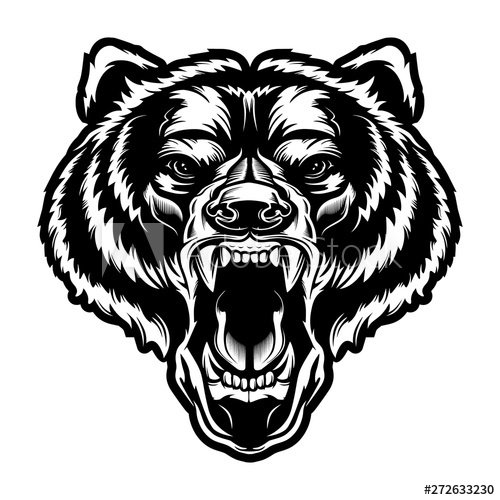 Bear Face Vector at Vectorified.com | Collection of Bear Face Vector ...