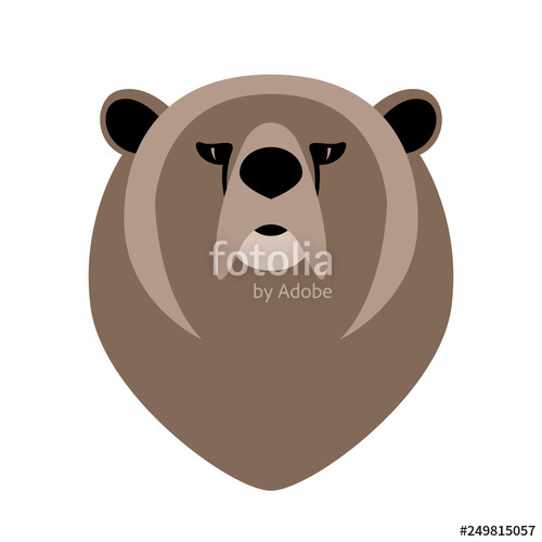 Bear Face, Vector Illustration Front View, Stock Image 500x500 Bear Face, Vector Illustration Front View, Stock Image