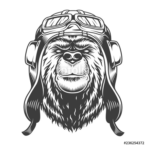 500x500 Bear Head In Helmet And Goggles Stock Image And Royalty Free