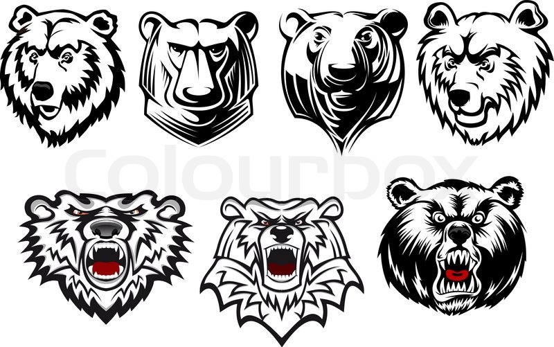 800x501 Black And White Vector Bear Heads With Stock Vector Colourbox