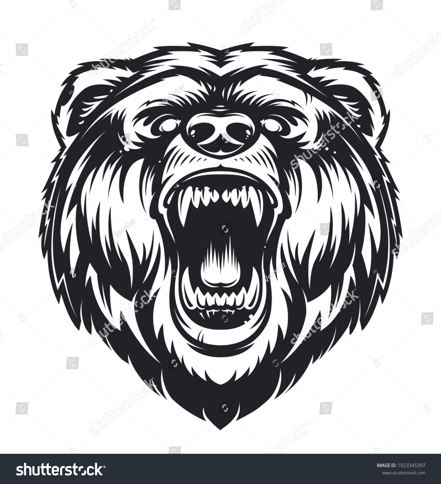 1457x1600 Vector Roaring Bear Isolated On White Background Furious Bear