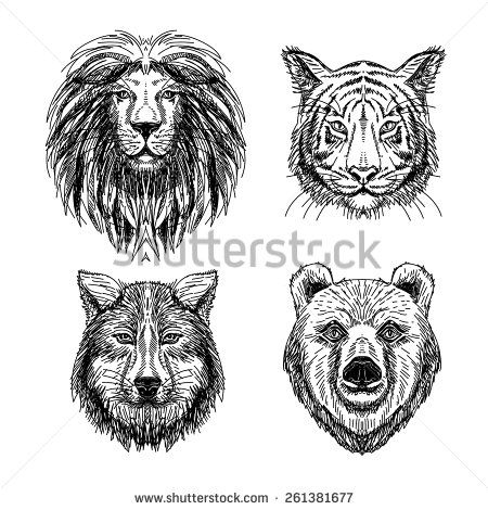 450x470 Bear Head Stock Vectors Vector Clip Art Shutterstock Mama