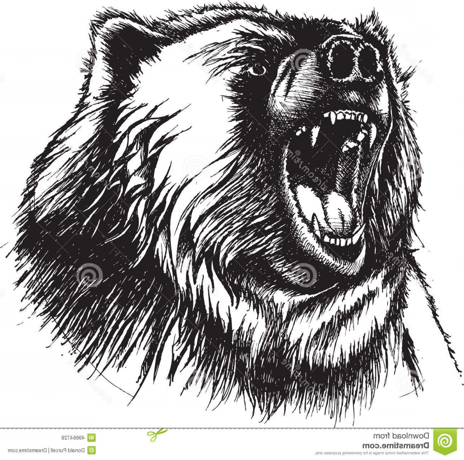 1560x1546 Black White Vector Bear Studiogrfx