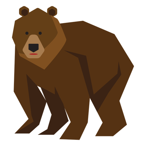 512x512 Elder Brown Bear Illustration