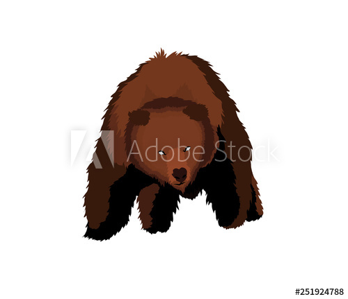 Bear Illustration Vector At Vectorified.com | Collection Of Bear ...