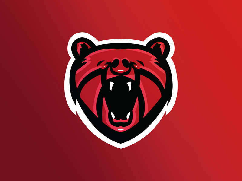 800x600 Bear Mascot