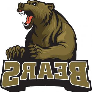 300x300 Stock Illustration Bear Mascot Vector Art Frontal Newwaysys