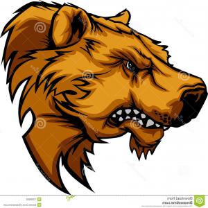 300x300 Stock Photography Bear Mascot Vector Logo Image Newwaysys