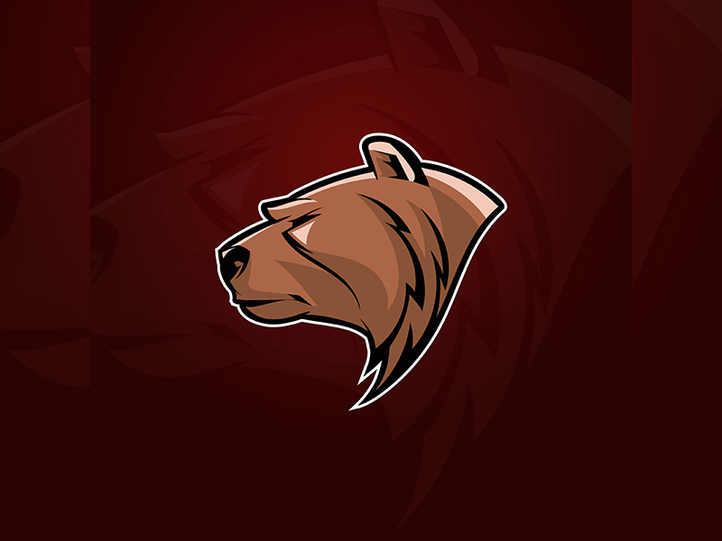 800x600 Bear Mascot