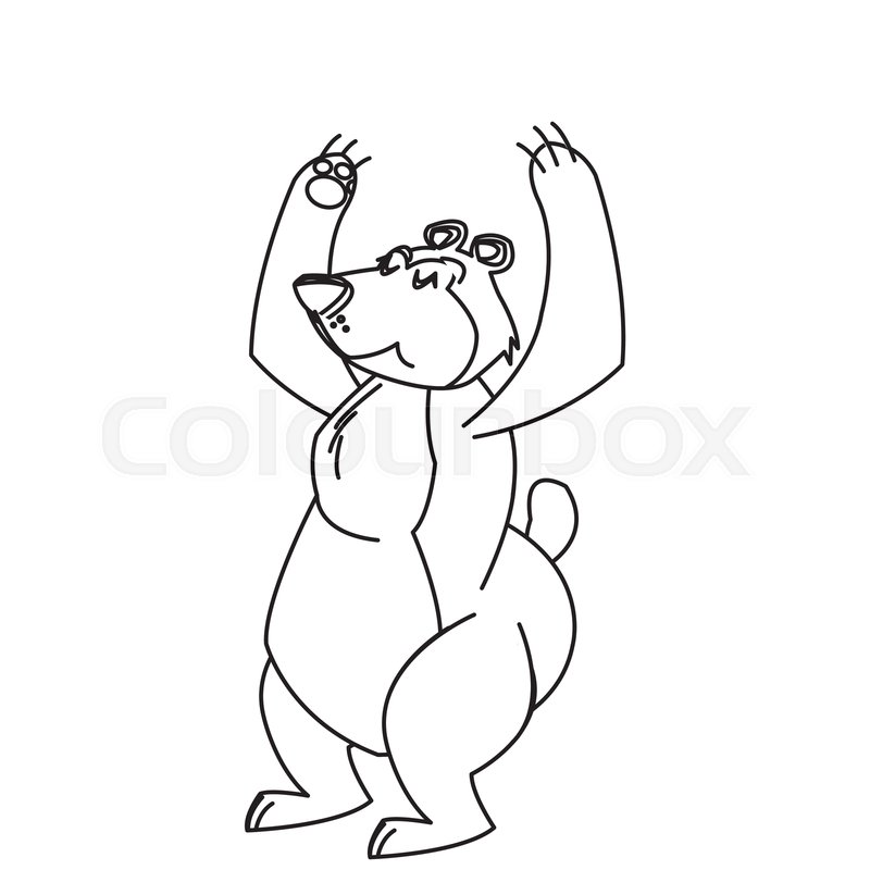 Circus Bear Carnival Animal Funny Stock Vector Colourbox 800x800 Circus Bear Carnival Animal Funny Stock Vector Colourbox