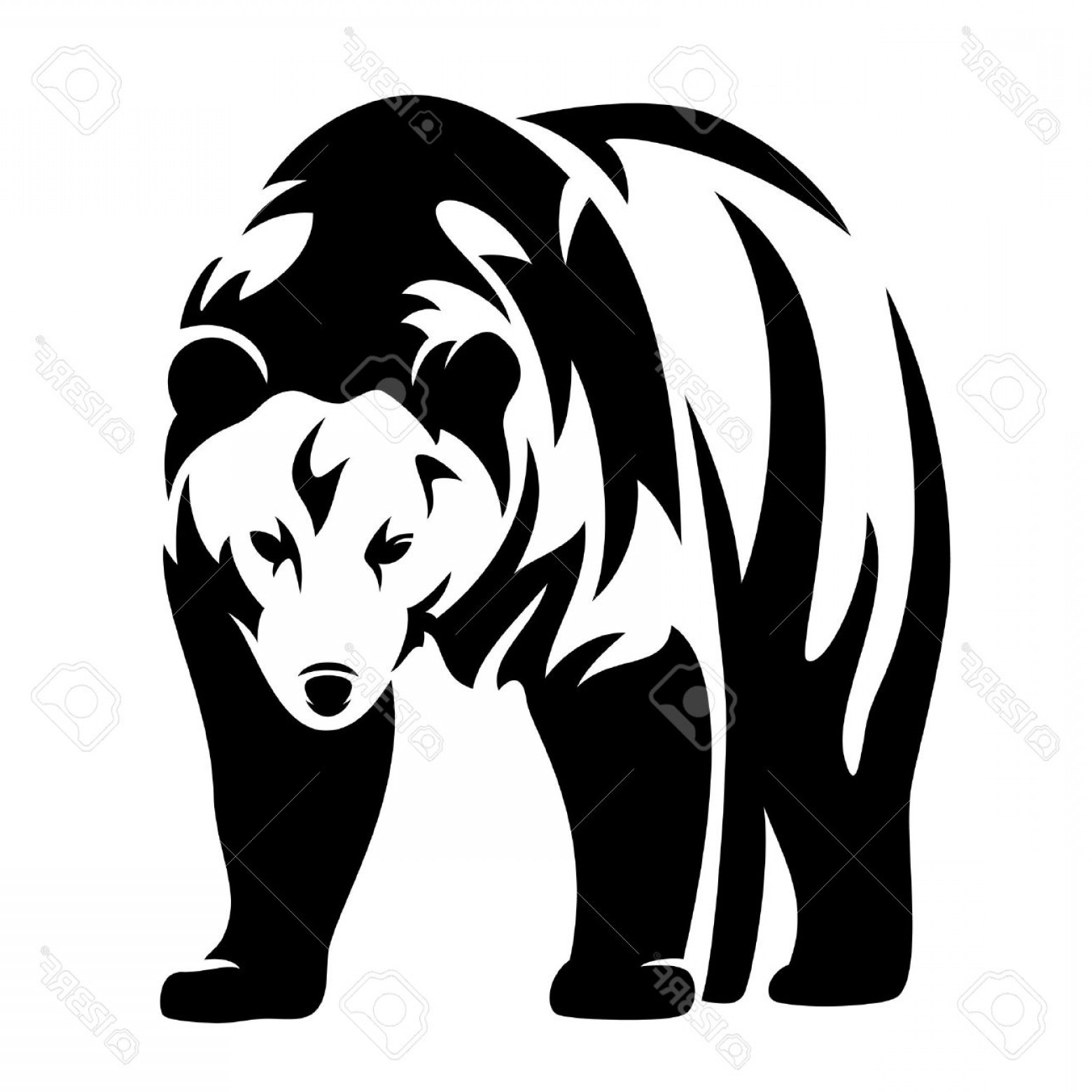 Photostock Vector Grizzly Bear Black And White Vector Design 1560x1560 Photostock Vector Grizzly Bear Black And White Vector Design