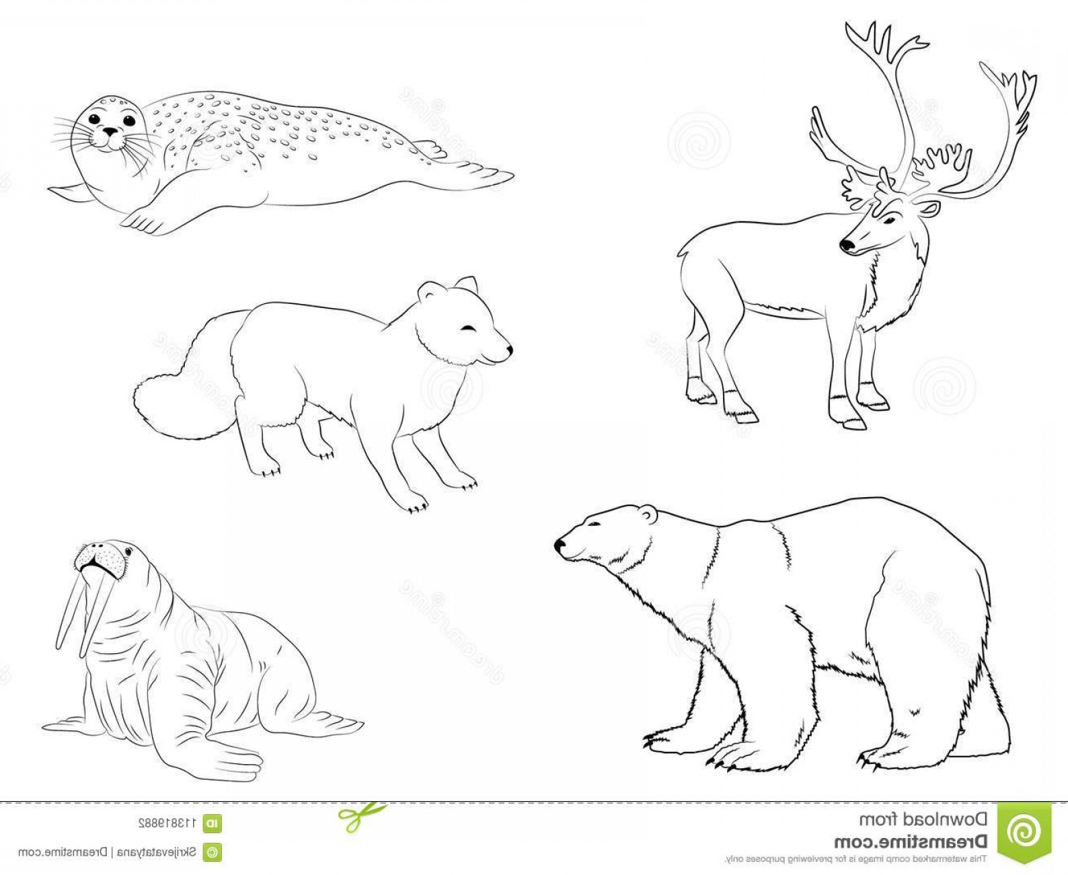 Раскраска Северные животные для дошкольников