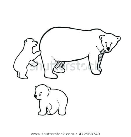 Drawing Polar Bear 450x470 Drawing Polar Bear