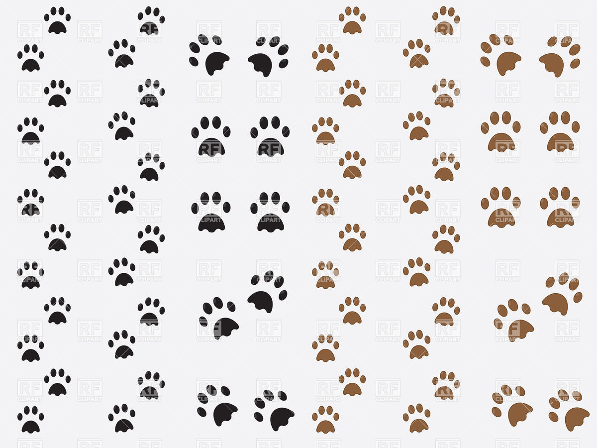 1200x900 Black And Brown Dog Paw Prints Vector Image Of Plants And Animals